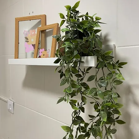 Apartmán Misericorde I - Vut Le 566